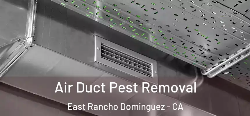 Air Duct Pest Removal East Rancho Dominguez - CA