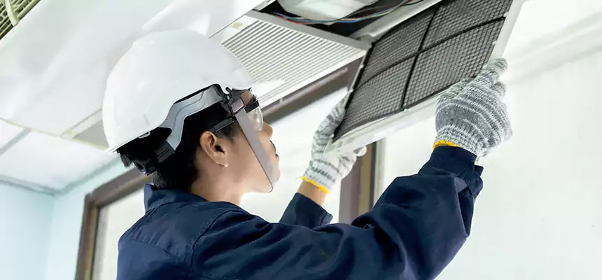 Our Mold & Mildew Removal from Air Ducts Services in East Rancho Dominguez, CA