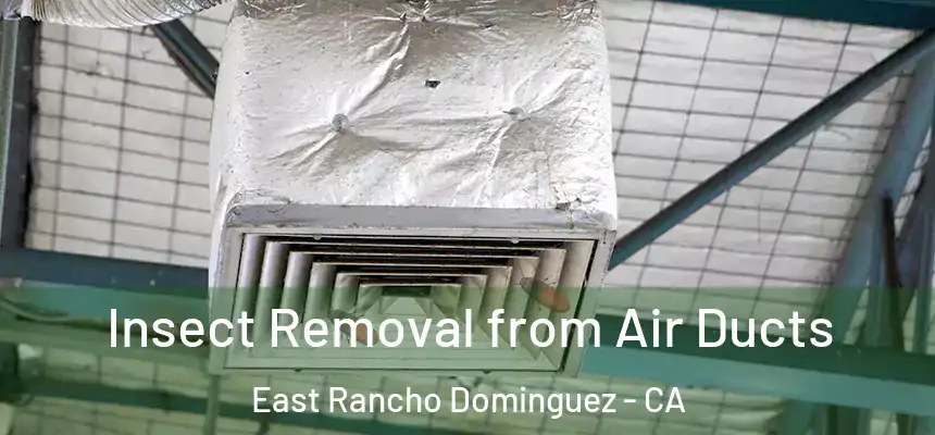 Insect Removal from Air Ducts East Rancho Dominguez - CA