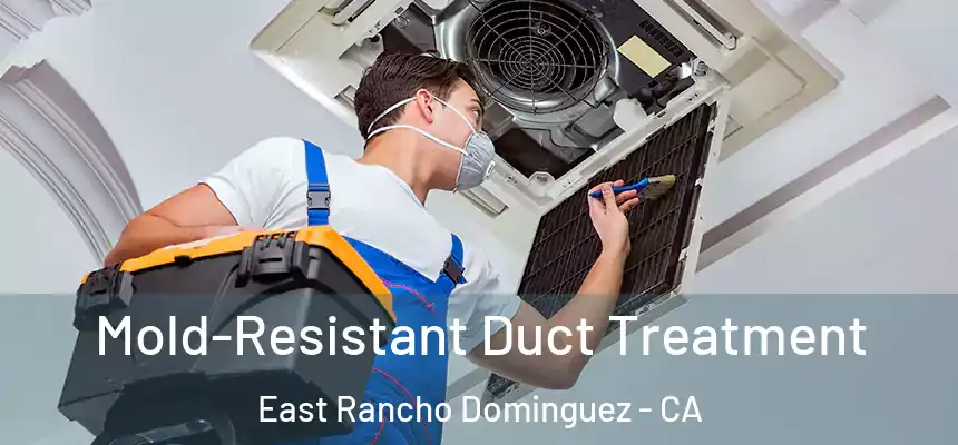  Mold-Resistant Duct Treatment East Rancho Dominguez - CA