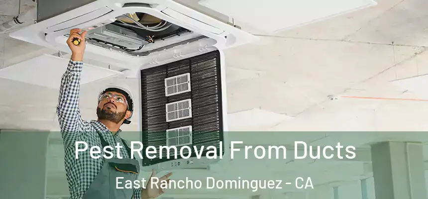 Pest Removal From Ducts East Rancho Dominguez - CA