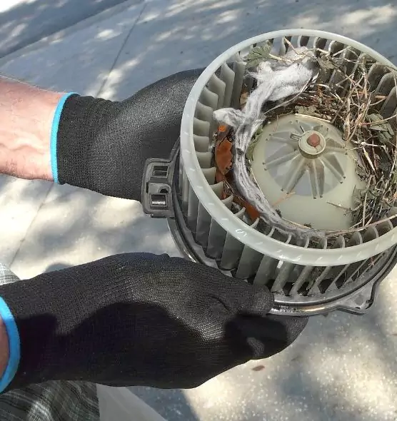 About Air Duct Rat Removal in East Rancho Dominguez, CA