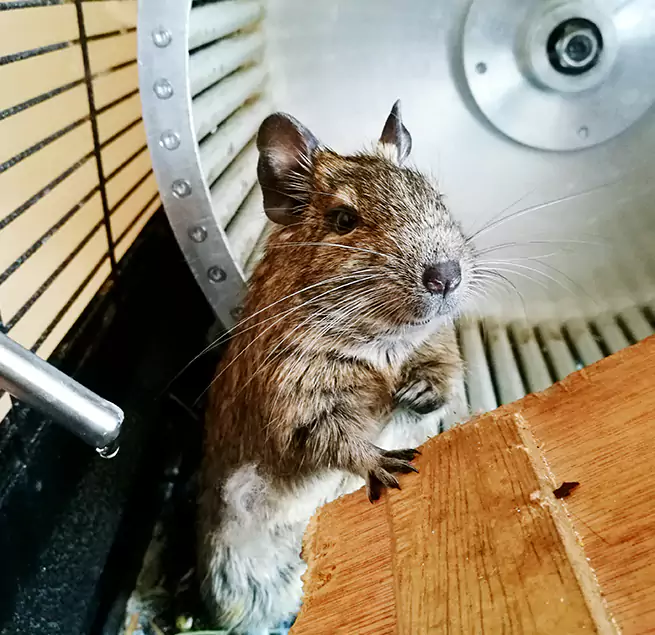 Why Homeowners & Businesses Trust Us East Rancho Dominguez, CA?