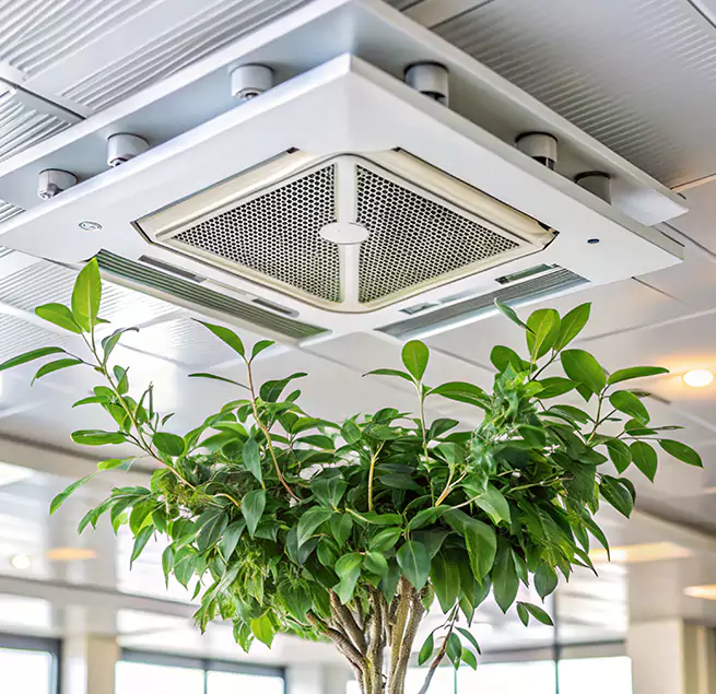 Why Homeowners & Businesses Trust Us in East Rancho Dominguez, CA