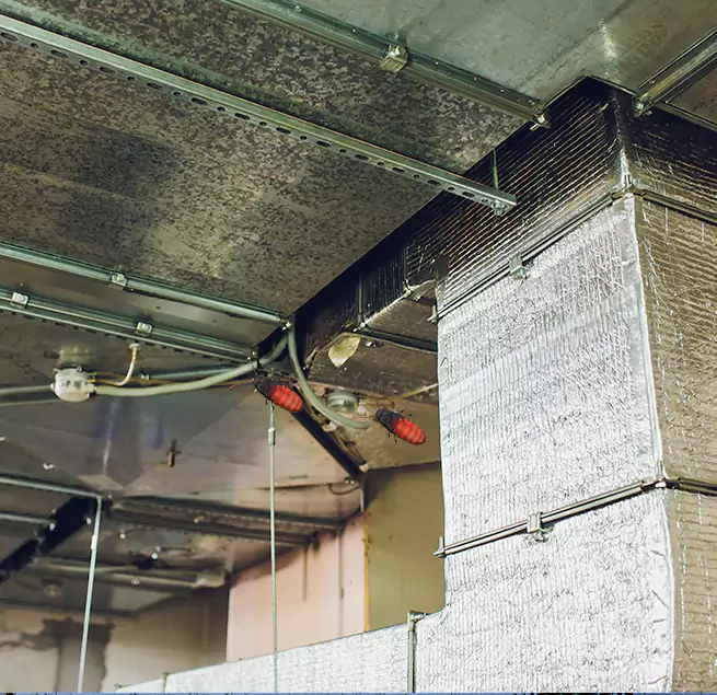 Why Homeowners & Businesses Trust Us East Rancho Dominguez, CA?