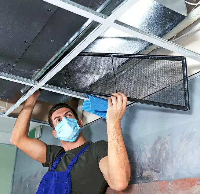 Why Homeowners Businesses Trust Us in East Rancho Dominguez, CA